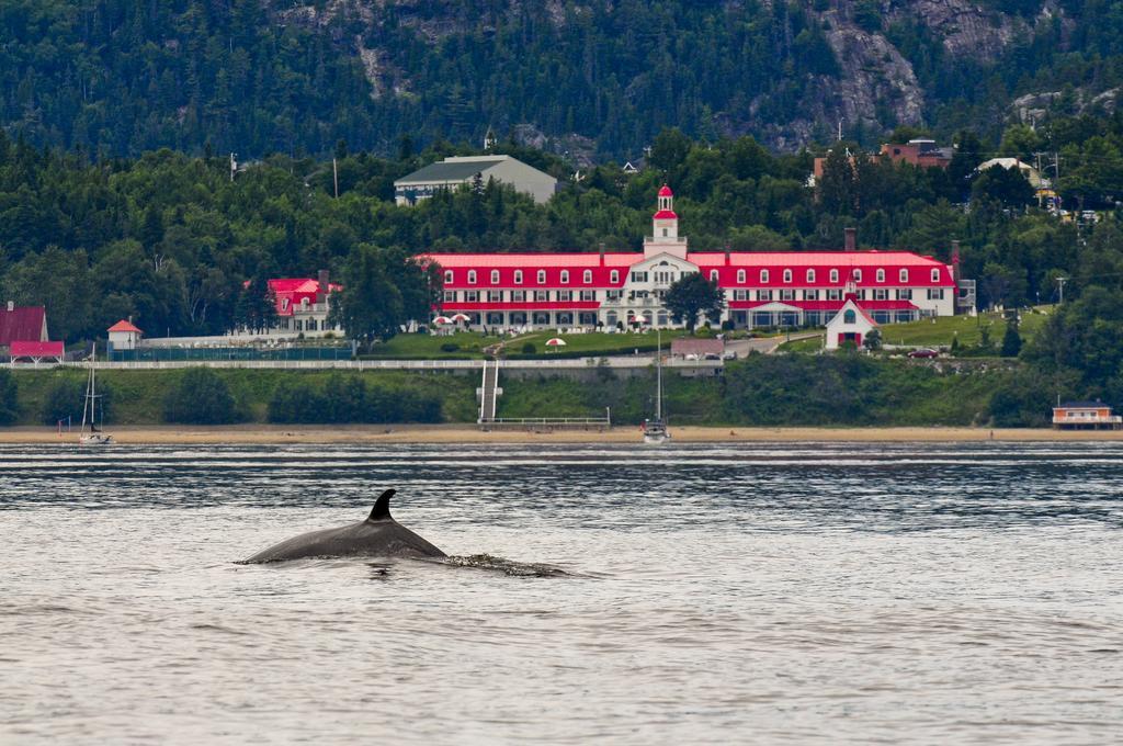 Gite Au Vieux Pommier Tadoussac Dış mekan fotoğraf