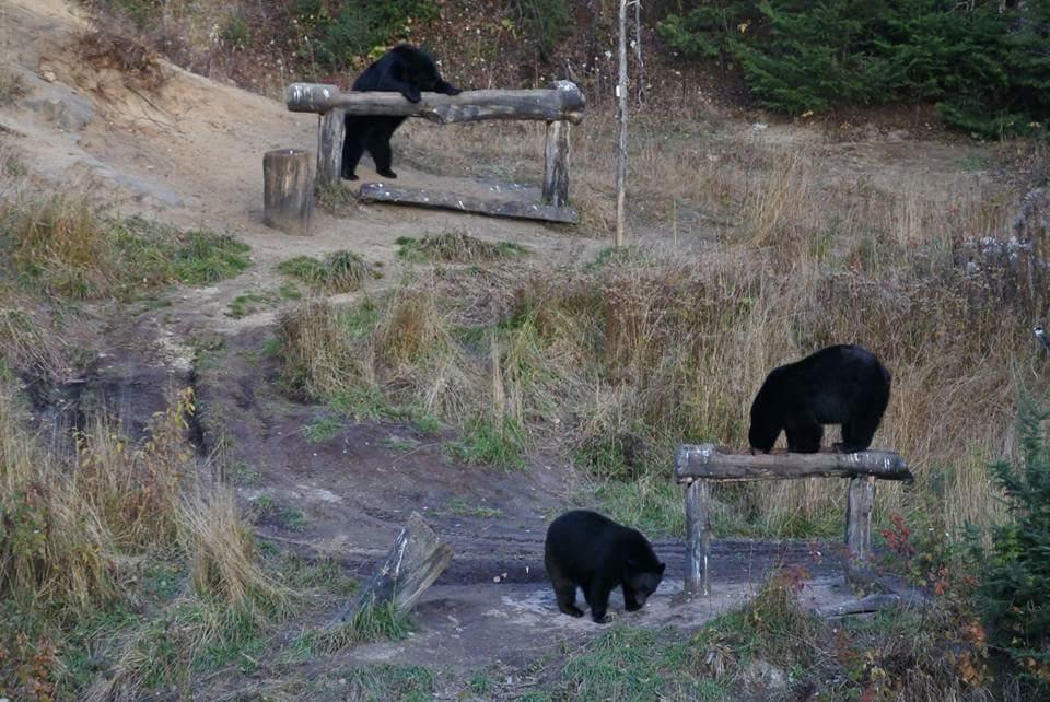 Gite Au Vieux Pommier Tadoussac Dış mekan fotoğraf