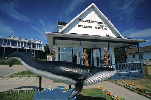 Gite Au Vieux Pommier Tadoussac Dış mekan fotoğraf