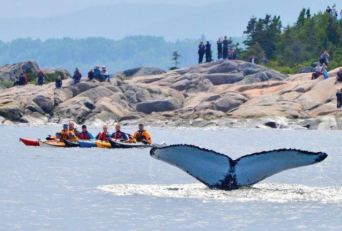 Gite Au Vieux Pommier Tadoussac Dış mekan fotoğraf