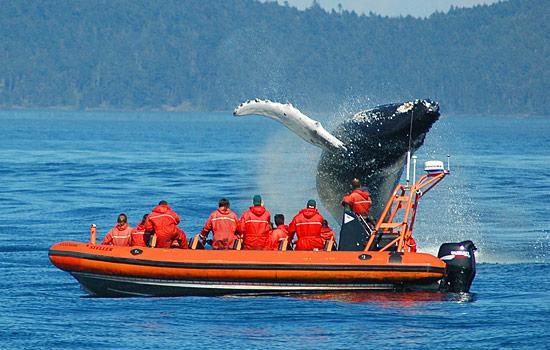 Gite Au Vieux Pommier Tadoussac Dış mekan fotoğraf